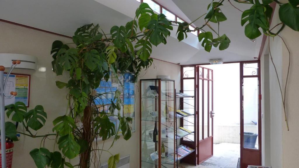 La Maison Des Randonneurs Hostel Auxerre Buitenkant foto